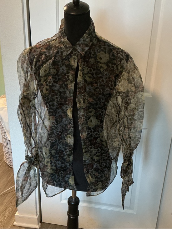 Zara Other - Zara sheer floral button up top with collar and long sleeves s